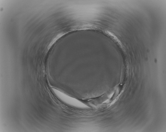 X0000070251457200606301614