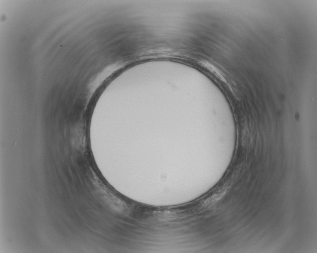 X0000070251458200606301614