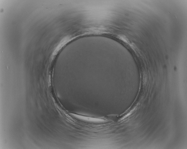 X0000070251459200606301614