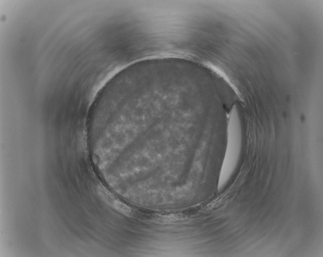 X0000070251460200606301614