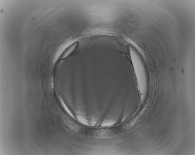 X0000070251461200606301614