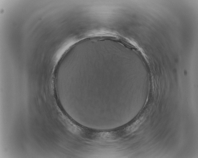 X0000070251463200606301614