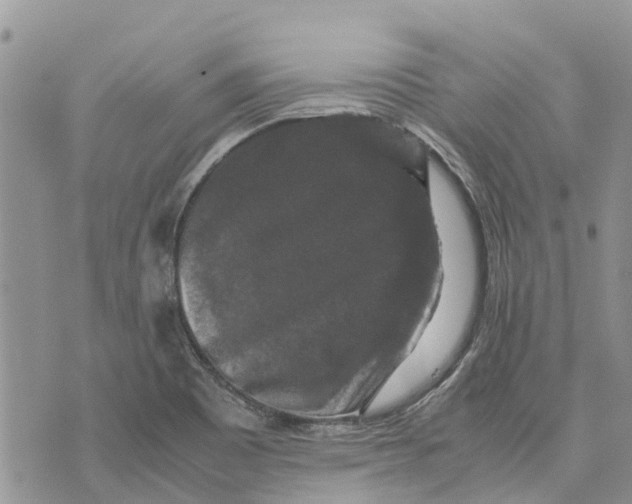 X0000070251465200606301614