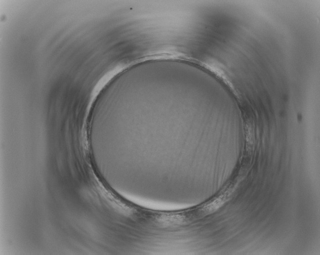 X0000070251466200606301614