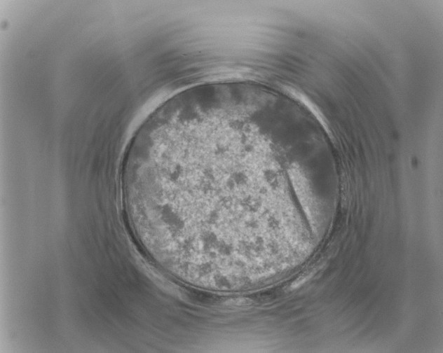 X0000070251467200606301614