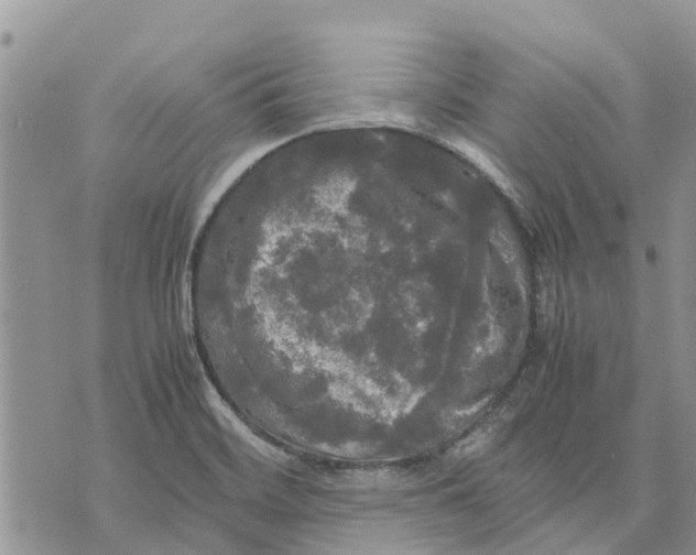 X0000070251468200606301613