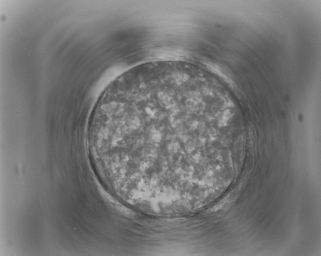 X0000070251471200606301613