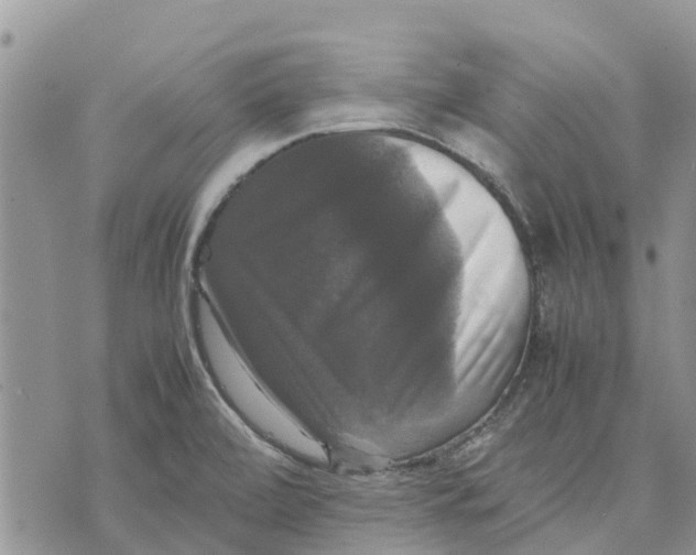 X0000070251472200606301613