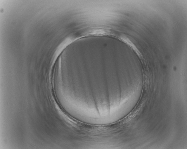 X0000070251475200606301613