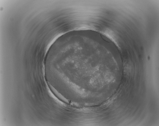 X0000070251476200606301613