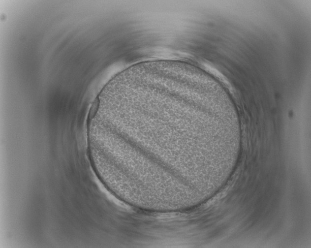 X0000070251479200606301613