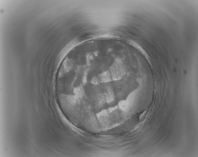 X0000070251483200606301613