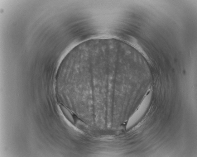 X0000070251484200606301613