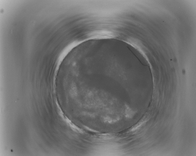 X0000070251488200606301613