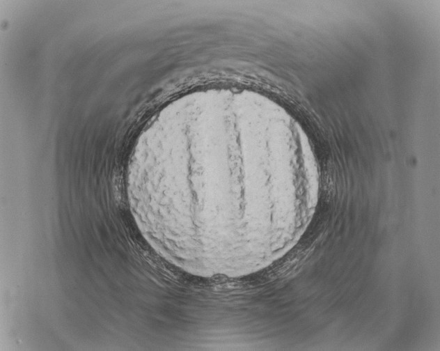 X0000070251490200606301612