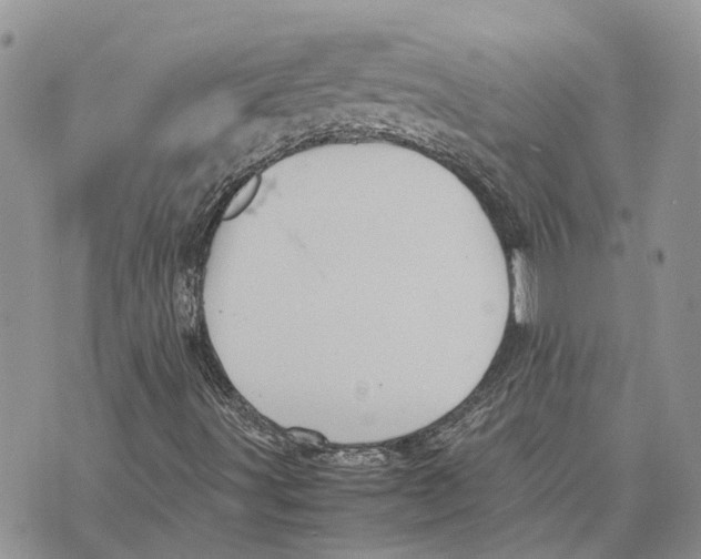 X0000070251491200606301612