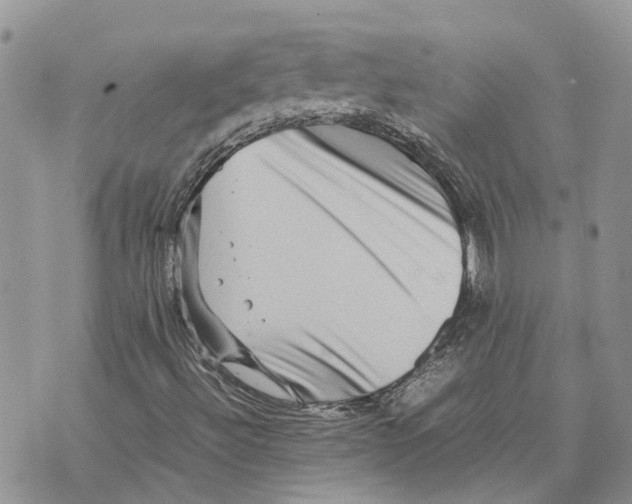 X0000070251492200606301612