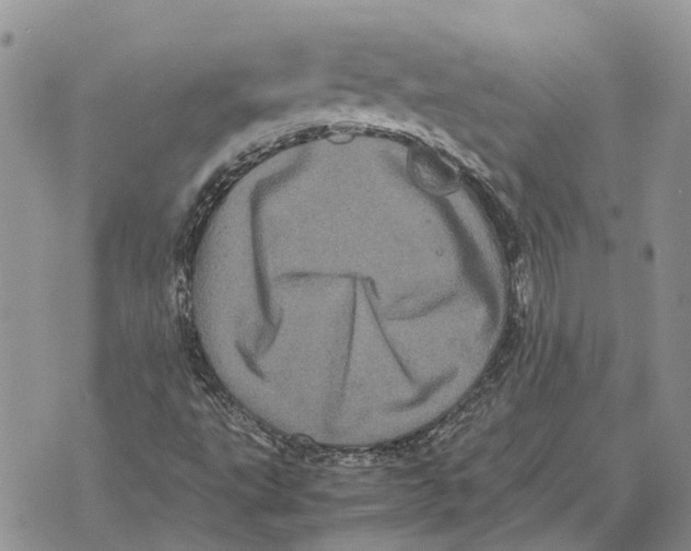 X0000070251495200606301612