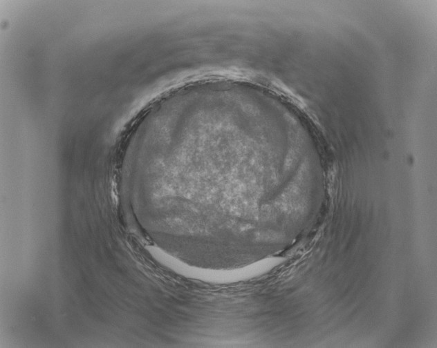 X0000070251496200606301612