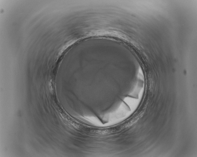 X0000070251497200606301613