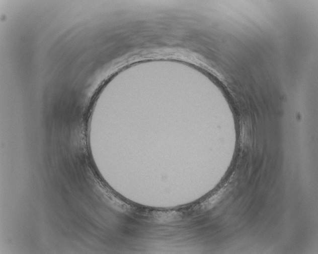 X0000070251498200606301613