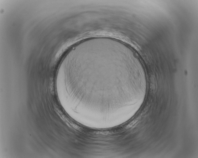 X0000070251499200606301613