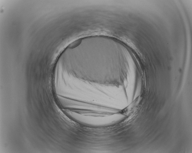 X0000070251500200606301613