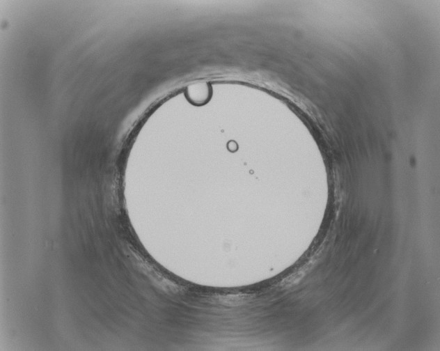 X0000070251502200606301613