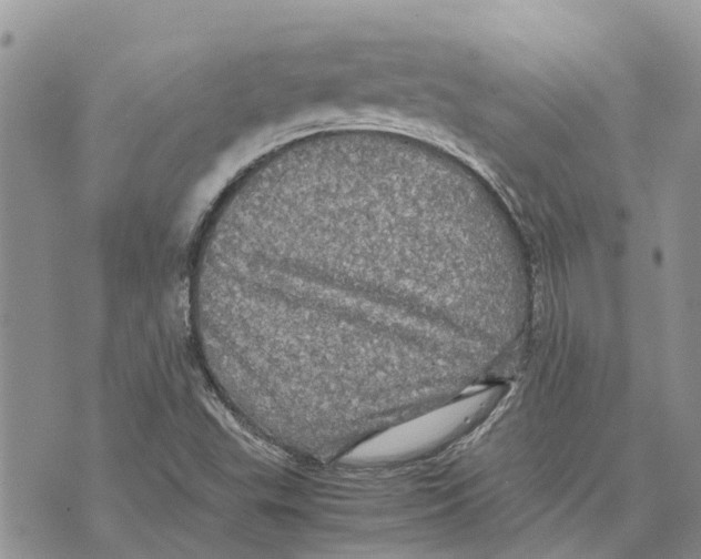 X0000070251503200606301613