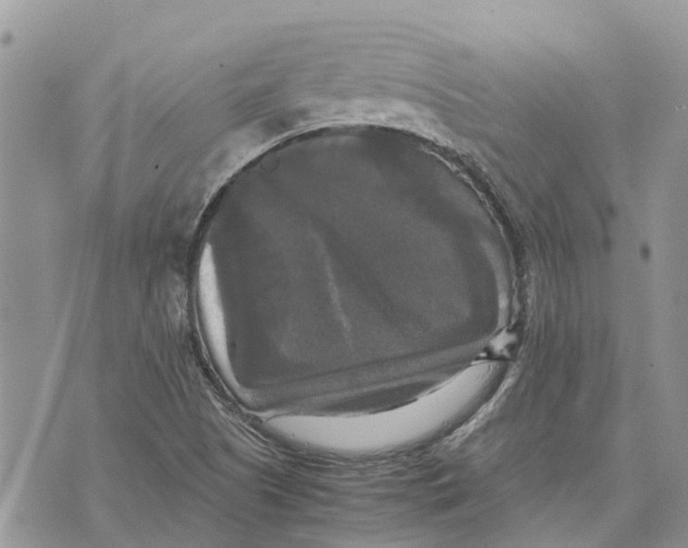 X0000070251505200606301613