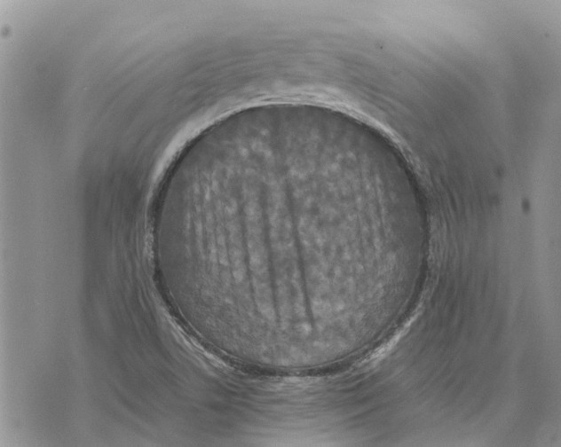 X0000070251506200606301613