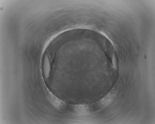 X0000070251508200606301613