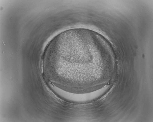 X0000070251510200606301613