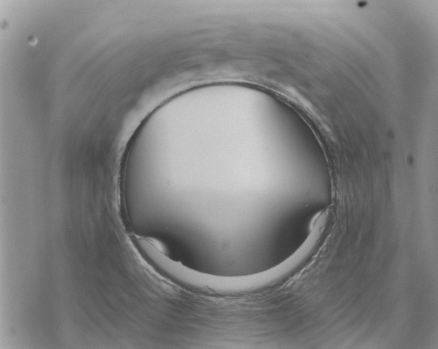 X0000070251512200606301613