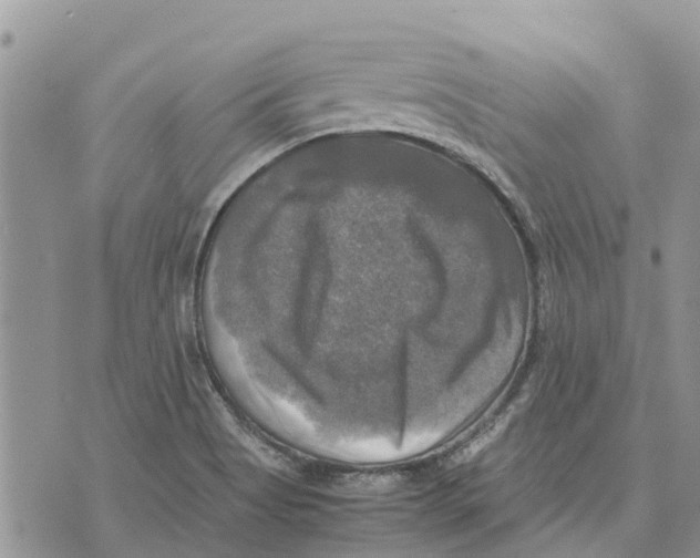 X0000070251513200606301613