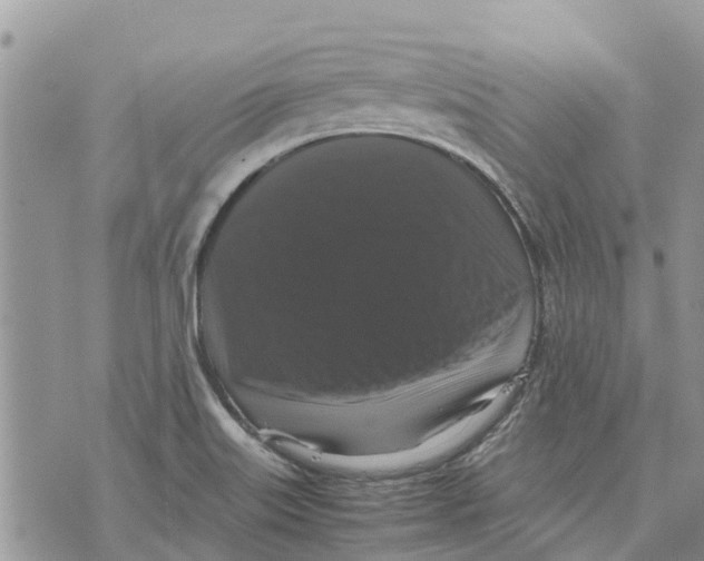 X0000070251515200606301613