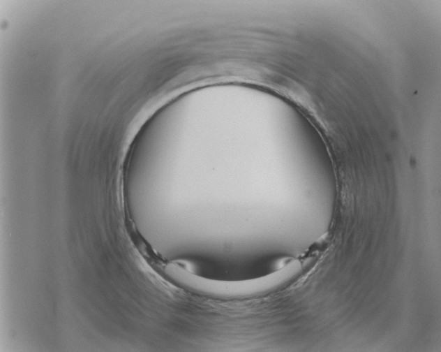 X0000070251516200606301613