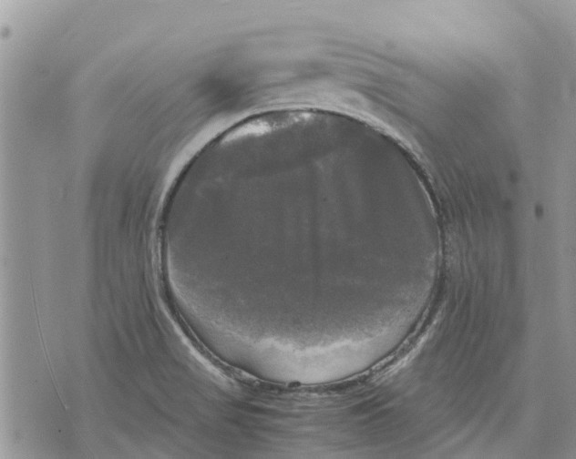 X0000070251517200606301613