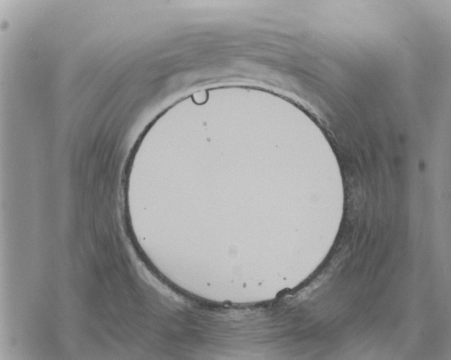 X0000070251518200606301613