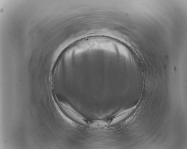 X0000070251519200606301613