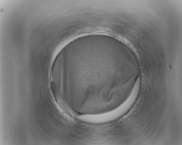 X0000070251520200606301613