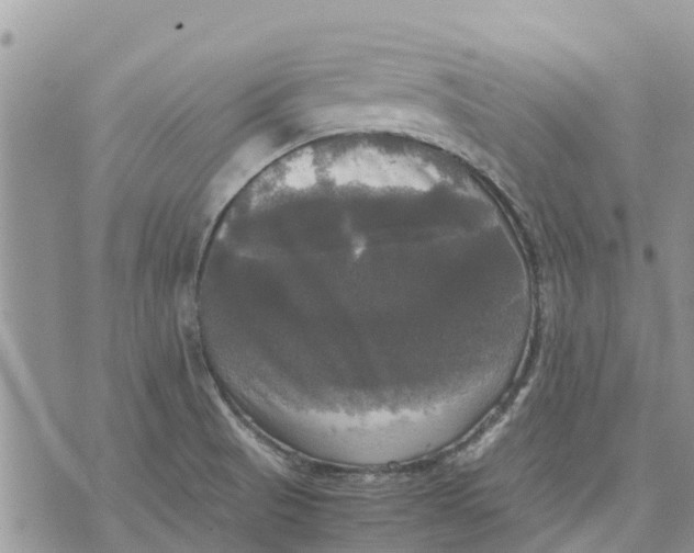 X0000070251521200606301613