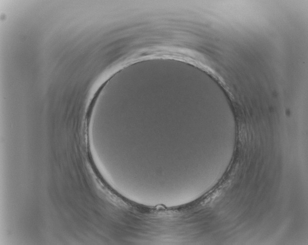 X0000070251522200606301613