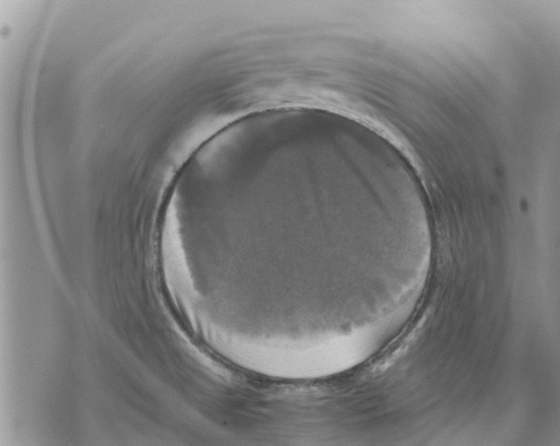 X0000070251525200606301613