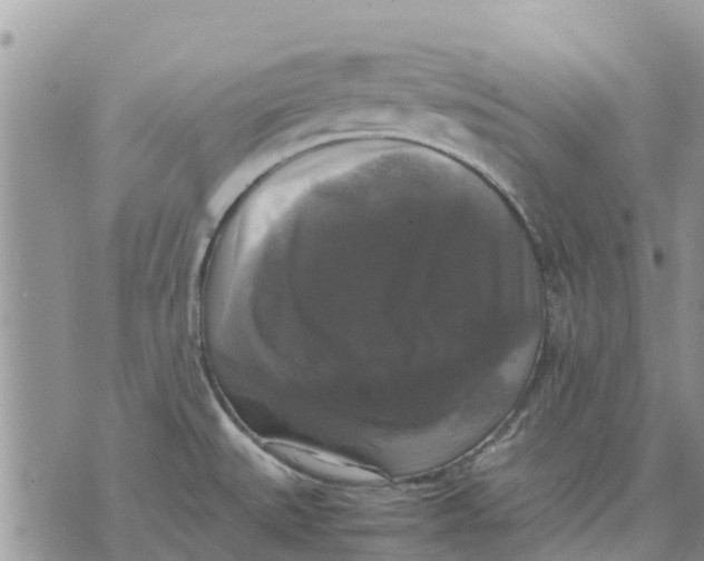 X0000070251527200606301613