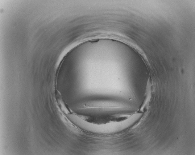 X0000070251530200606301613