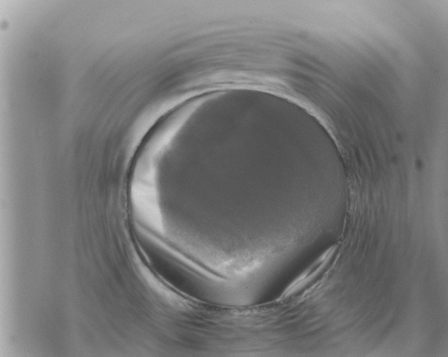 X0000070251531200606301613