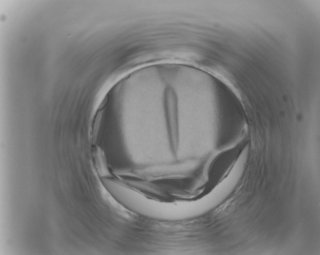 X0000070251532200606301613