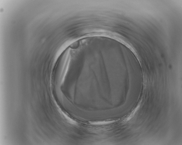 X0000070251533200606301613