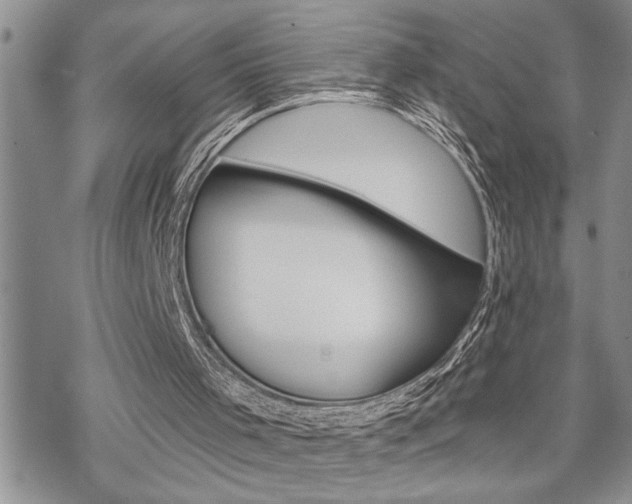 X0000070340001200606090814